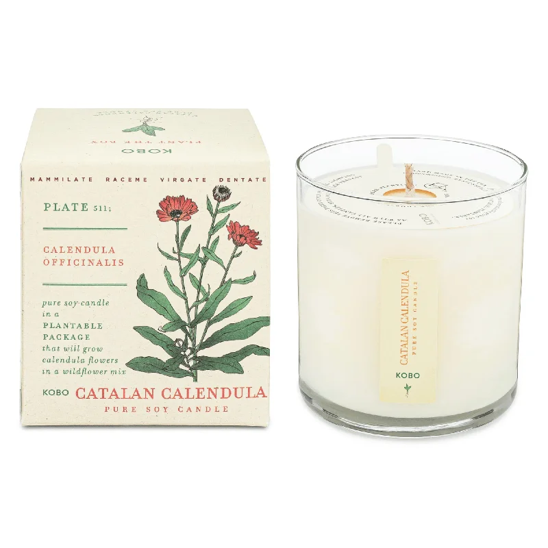 KOBO Catalan Calendula Plant the Box Candle (9 oz) #10068954